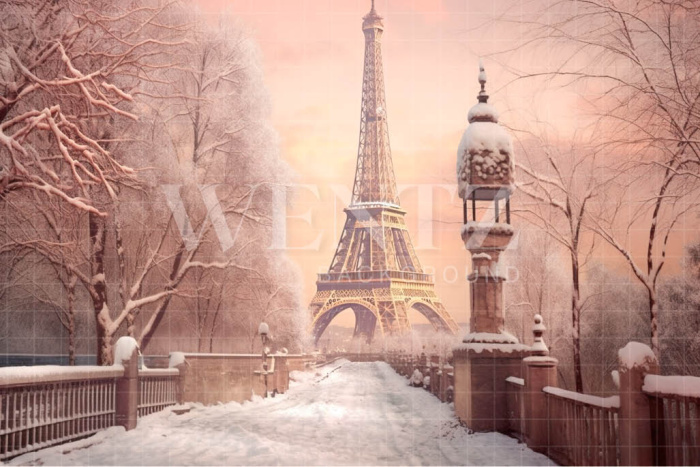 Fabric Photography Background Winter in Paris / Backdrop 4384