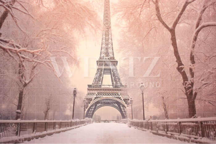 Fabric Photography Background Winter in Paris / Backdrop 4385