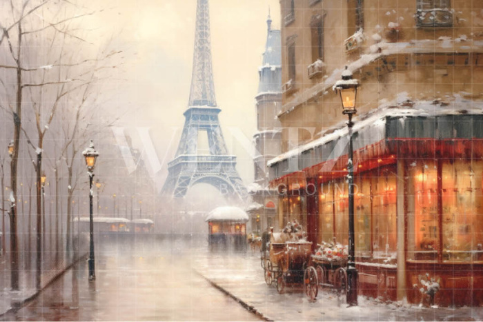 Fabric Photography Background Winter in Paris / Backdrop 4386