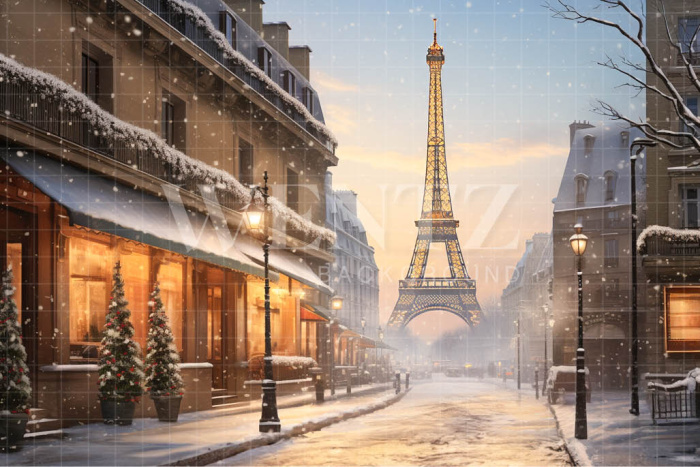 Fabric Photography Background Winter in Paris / Backdrop 4393