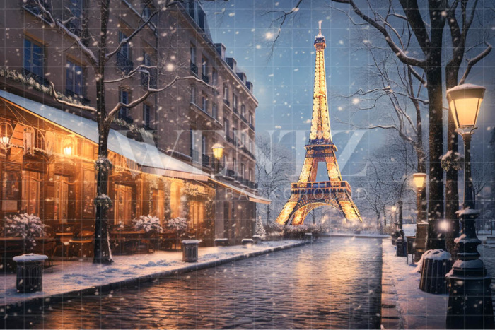 Fabric Photography Background Winter in Paris / Backdrop 4394