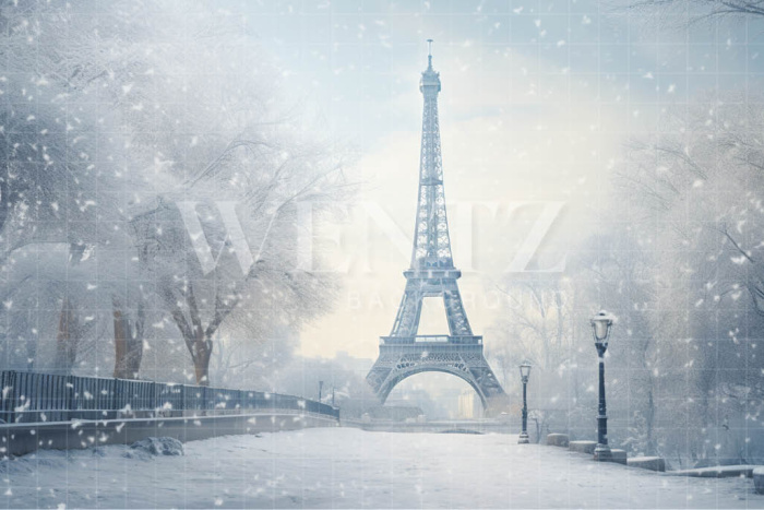 Fabric Photography Background Winter in Paris / Backdrop 4395