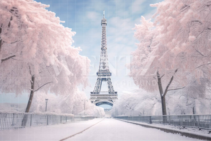 Fabric Photography Background Winter in Paris / Backdrop 4396