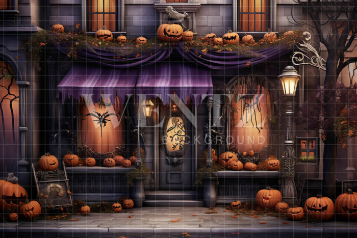 Fabric Photography Background Halloween Facade / Backdrop 4507