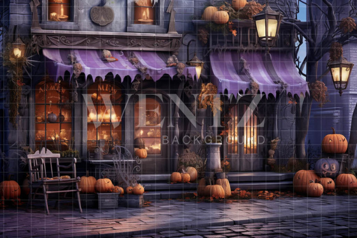 Fabric Photography Background Halloween Facade / Backdrop 4508