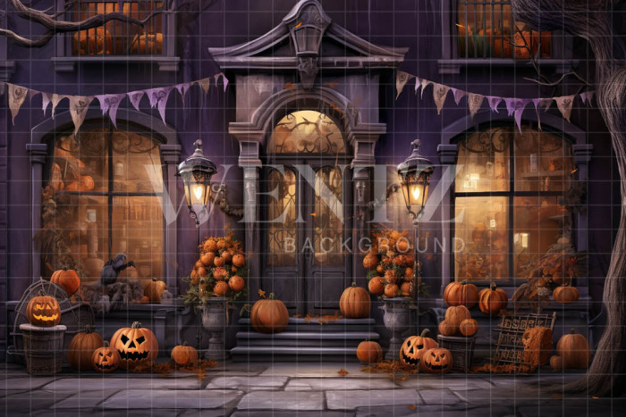 Fabric Photography Background Halloween Facade / Backdrop 4509