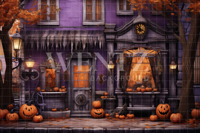 Fabric Photography Background Halloween Facade / Backdrop 4511