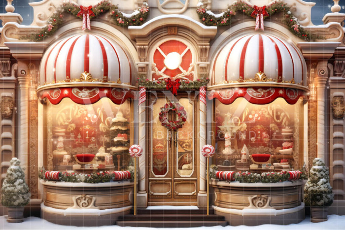 Fabric Photography Background Christmas Store Front / Backdrop 4530