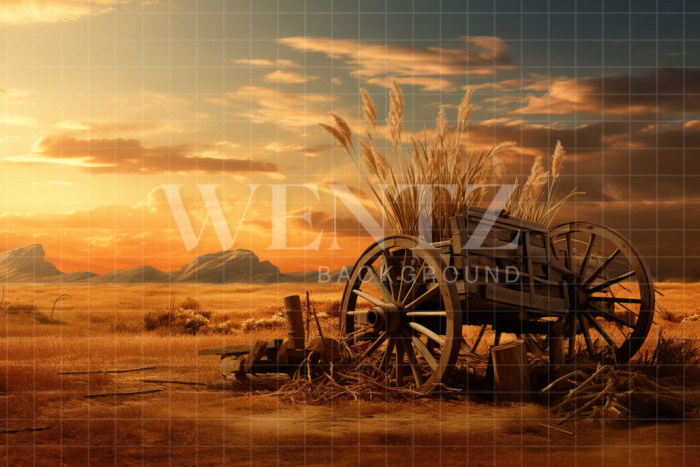 Fabric Photography Background Wagon / Backdrop 4771