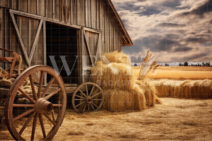 Fabric Photography Background Barn / Backdrop 4778