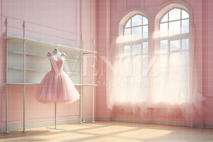 Fabric Photography Background Ballet Studio / Backdrop 4796