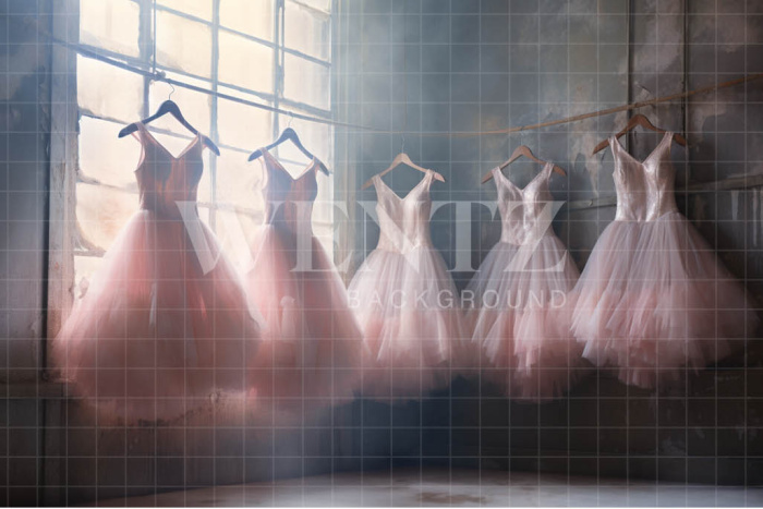 Fabric Photography Background Ballet Studio / Backdrop 4894