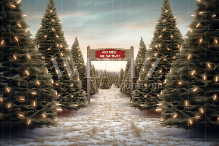 Photographic Background in Fabric Christmas Fir Trees / Backdrop 5058