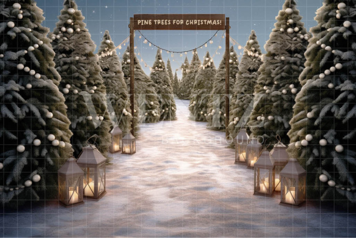 Photographic Background in Fabric Pine Tree Farm / Backdrop 5061