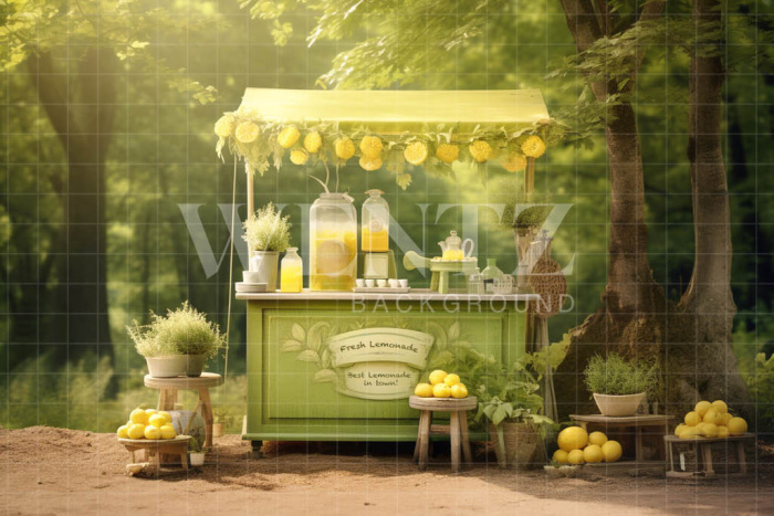 Photographic Background in Fabric Lemonade Stand / Backdrop 5120