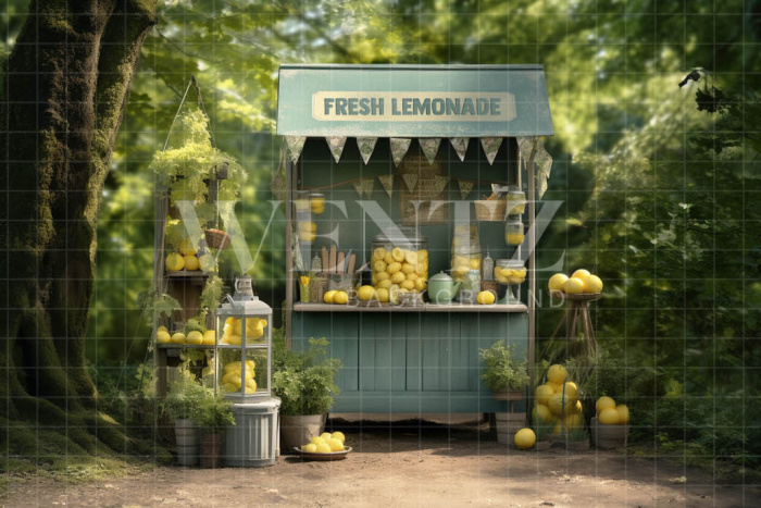 Photographic Background in Fabric Lemonade Stand / Backdrop 5121