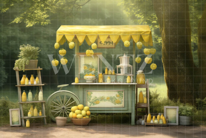 Photographic Background in Fabric Lemonade Stand / Backdrop 5122