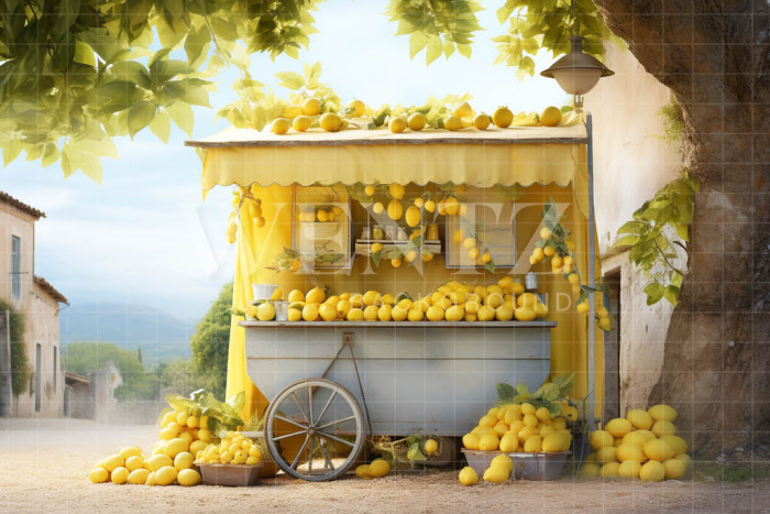 Photographic Background in Fabric Lemon Stand / Backdrop 5123