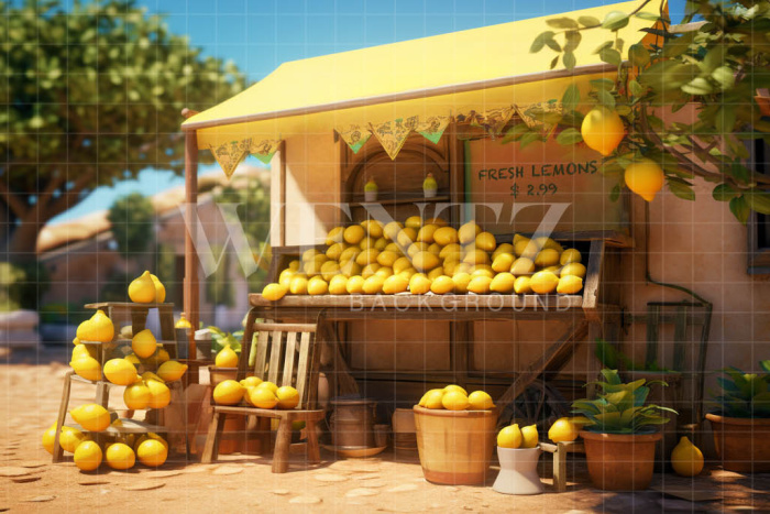 Photographic Background in Fabric Lemonade Stand / Backdrop 5134