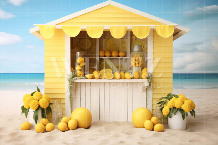 Photographic Background in Fabric Lemonade Stand / Backdrop 5137