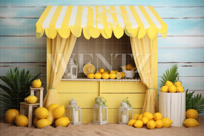 Photographic Background in Fabric Lemonade Stand / Backdrop 5139