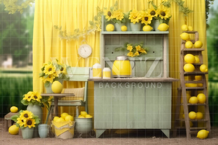 Photographic Background in Fabric Lemonade Stand / Backdrop 5146