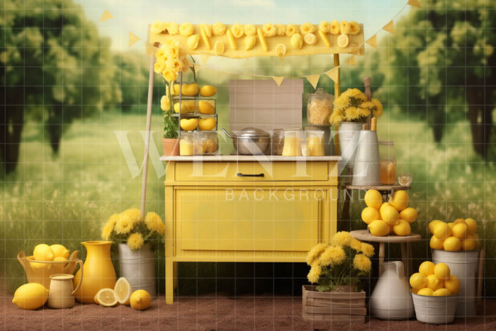 Photographic Background in Fabric Lemonade Stand / Backdrop 5147