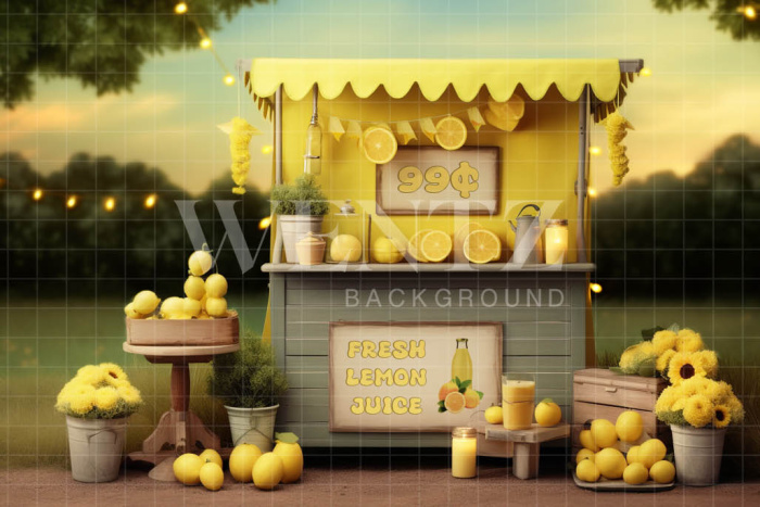 Photographic Background in Fabric Lemonade Stand / Backdrop 5149