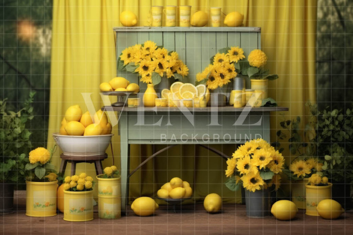 Photographic Background in Fabric Lemonade Stand / Backdrop 5150