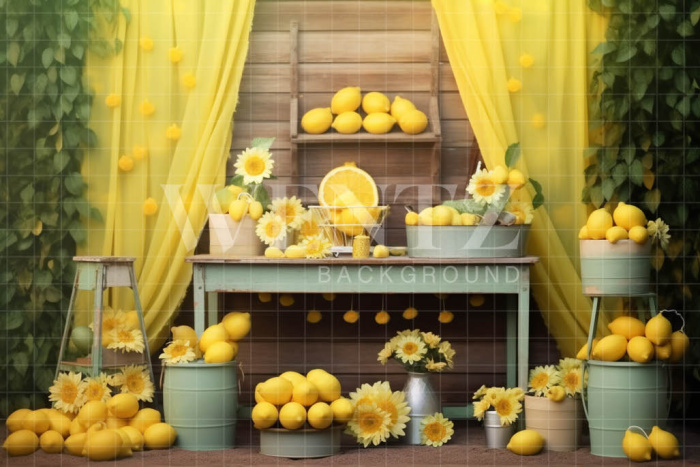 Photographic Background in Fabric Lemonade Stand / Backdrop 5151