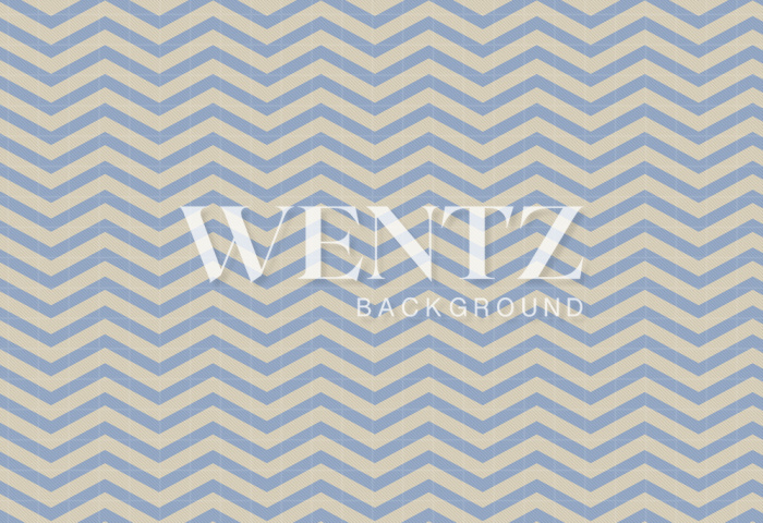 Fabric Photography Background Chevron / Backdrop 825