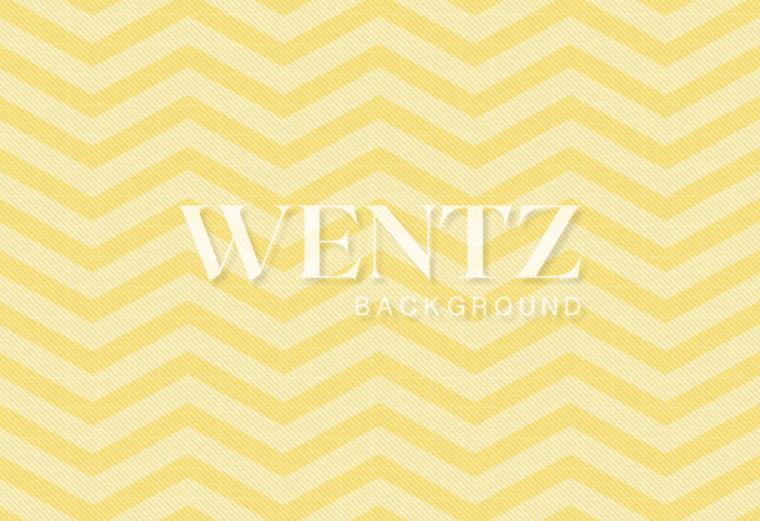 Fabric Photography Background Chevron / Backdrop 827