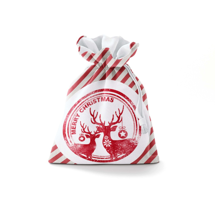 Striped Decorative Christmas Bag With String / WS08