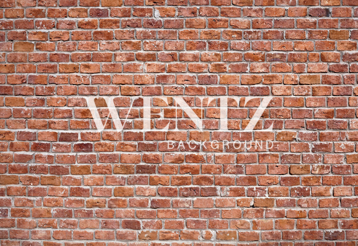 Fabric Photography Background Wall of Bricks / Backdrop 181