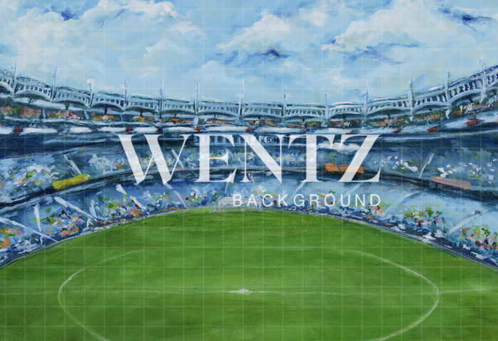 Fabric Photography Background Hand Painted Soccer Field / Backdrop CW003