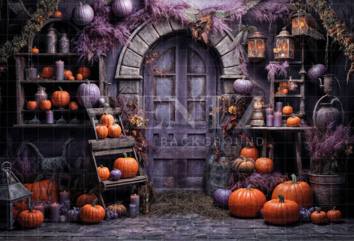 Fabric Photography Background Witch's House Halloween / Backdrop 6355