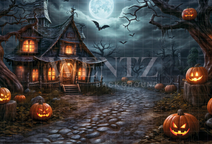 Fabric Photography Background Witch's House Halloween / Backdrop 6356