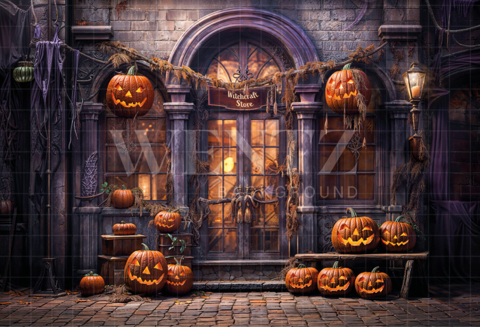 Fabric Photography Background Halloween Witchcraft Store / Backdrop 6360