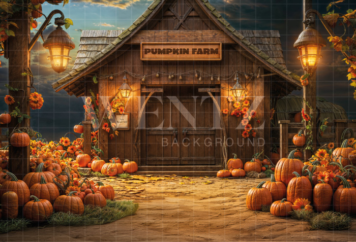 Fabric Photography Background Halloween House / Backdrop 6364