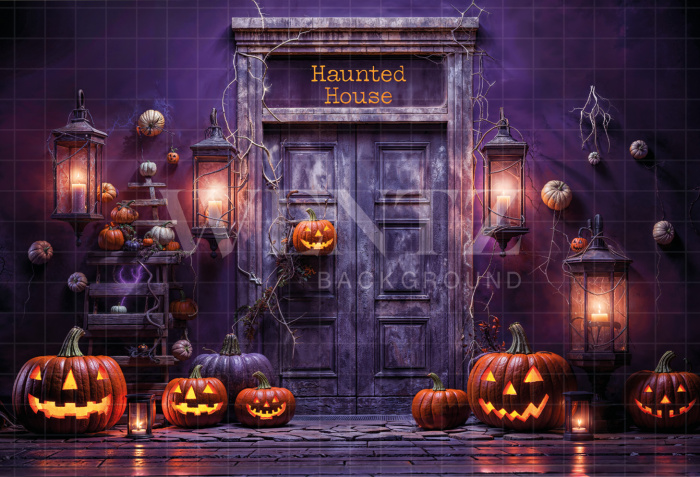 Fabric Photography Background Halloween Haunted House / Backdrop 6359