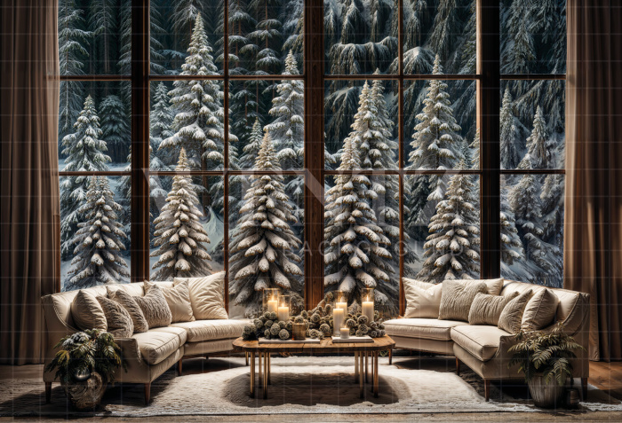 Fabric Photography Background Living Room with Window Christmas / Backdrop 6293