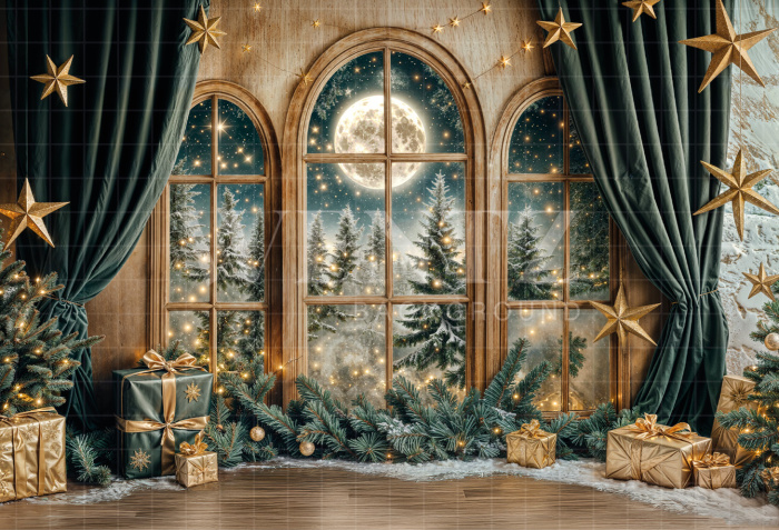 Fabric Photography Background Living Room with Christmas Windows / Backdrop 6408