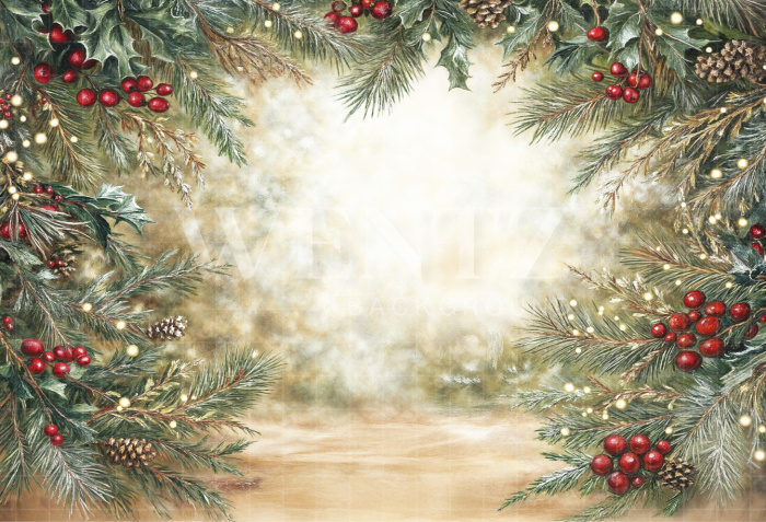 Fabric Photography Background Christmas / Backdrop 6467