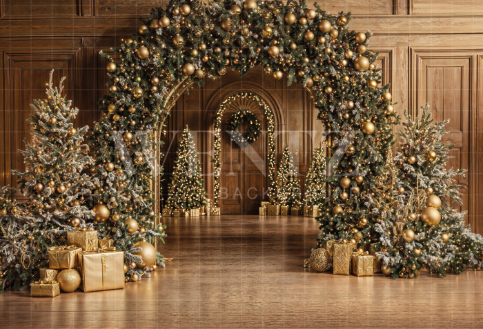 Fabric Photography Background Christmas Door / Backdrop 6479