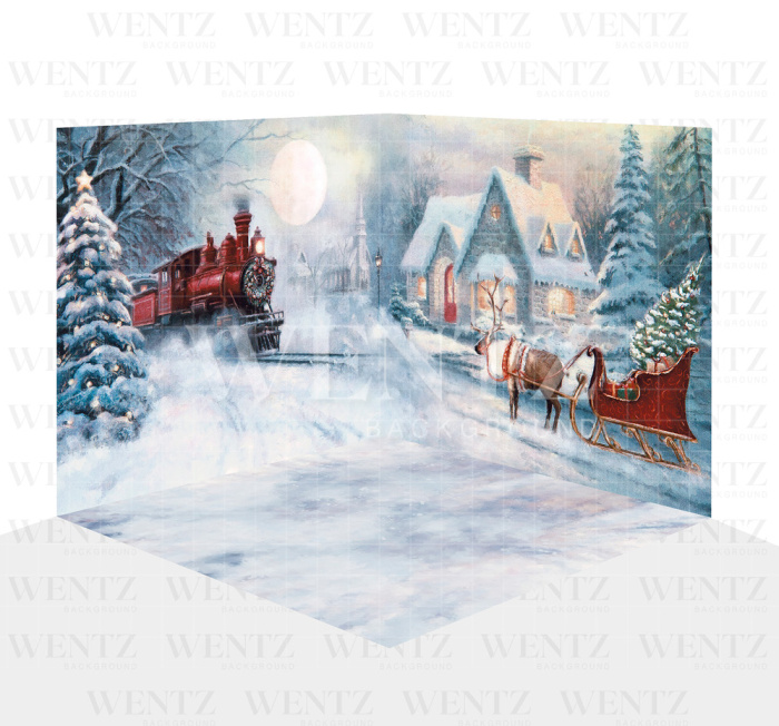 Photography Background in Fabric Christmas Set 3D / WTZ120