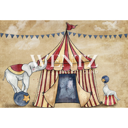 Fabric Photography Background Circus / Backdrop 1586