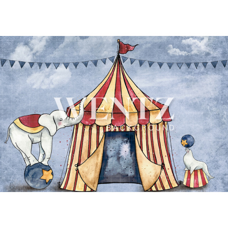 Fabric Photography Background Circus / Backdrop 1587