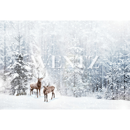 Fabric Photography Background Christmas / Backdrop 1917