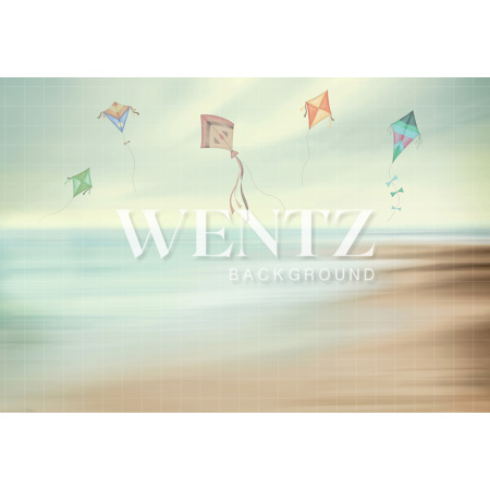 Fabric Photography Background Beach and Kites Newborn / Backdrop 2012