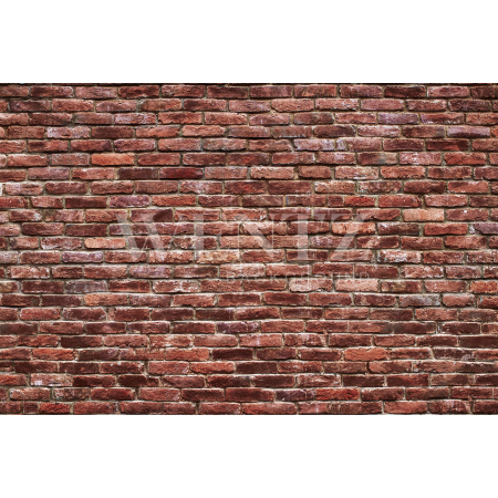 Fabric Photography Background Bricks / Backdrop 2118